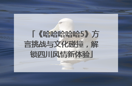 《哈哈哈哈哈5》方言挑战与文化碰撞，解锁四川风情新体验