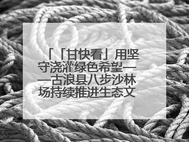 「甘快看」用坚守浇灌绿色希望——古浪县八步沙林场持续推进生态文明建设见闻