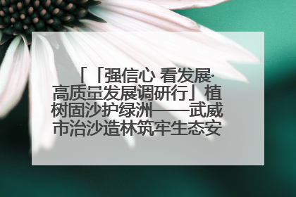 「强信心 看发展·高质量发展调研行」植树固沙护绿洲——武威市治沙造林筑牢生态安全屏障见闻