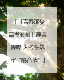「青春逐梦 高考时刻」静音降噪 为考生筑牢“隔音墙”