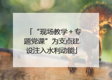 “现场教学＋专题党课”为支点建设注入水利动能