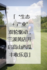 “生态 + 产业”双轮驱动，兰溪黄店开启高山西瓜丰收乐章