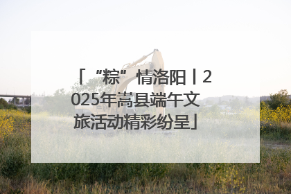 “粽”情洛阳丨2025年嵩县端午文旅活动精彩纷呈