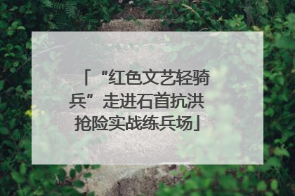“红色文艺轻骑兵”走进石首抗洪抢险实战练兵场