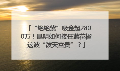 “绝绝紫”吸金超2800万！昆明如何接住蓝花楹这波“泼天富贵”？