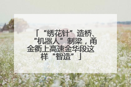 “绣花针”造桥、“机器人”制梁，甬金衢上高速金华段这样“智造”