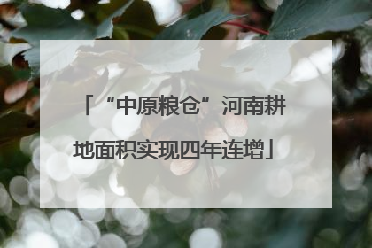 “中原粮仓”河南耕地面积实现四年连增