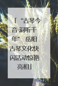 “古琴今音·洞听千年” 岳阳古琴文化快闪活动惊艳亮相