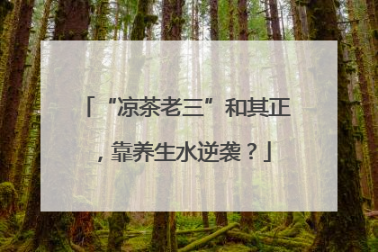 “凉茶老三”和其正，靠养生水逆袭？
