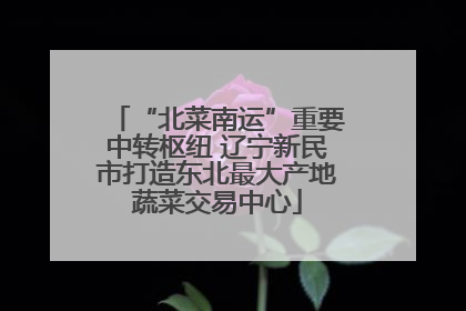 “北菜南运”重要中转枢纽 辽宁新民市打造东北最大产地蔬菜交易中心