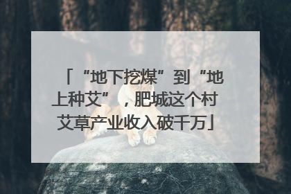 “地下挖煤”到“地上种艾”，肥城这个村艾草产业收入破千万