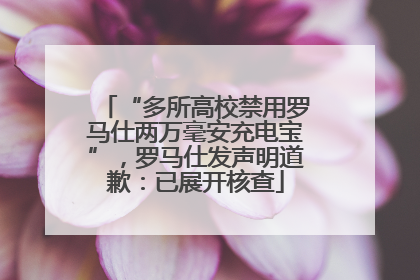 “多所高校禁用罗马仕两万毫安充电宝”，罗马仕发声明道歉：已展开核查