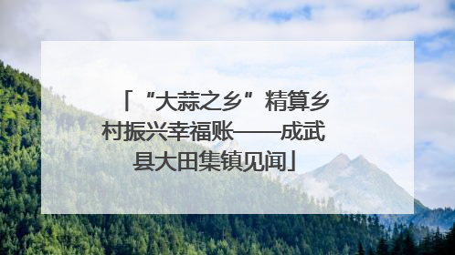 “大蒜之乡”精算乡村振兴幸福账——成武县大田集镇见闻