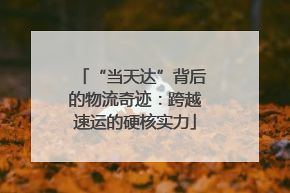 “当天达”背后的物流奇迹：跨越速运的硬核实力