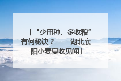 “少用种、多收粮”有何秘诀？——湖北襄阳小麦夏收见闻