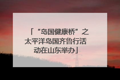 “岛国健康桥”之太平洋岛国齐鲁行活动在山东举办