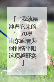 “我就是冲着它来的” 70岁山东跑者为何钟情平阳这项越野赛