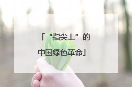 “指尖上”的中国绿色革命
