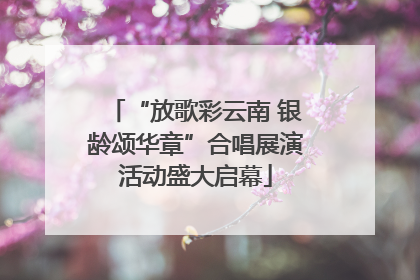 “放歌彩云南 银龄颂华章”合唱展演活动盛大启幕
