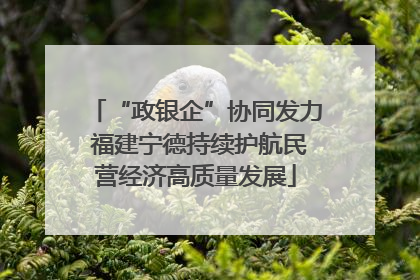 “政银企”协同发力 福建宁德持续护航民营经济高质量发展