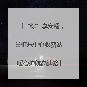 “棕”享安畅，桑植东中心收费站暖心护航高速路