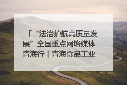“法治护航高质量发展”全国重点网络媒体青海行｜青海食品工业协会：架起“青字号”美食的产业化桥梁