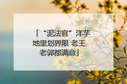 “泥法官”洋芋地里划界限 老王老郭都满意