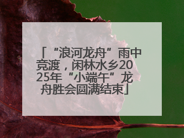 “浪河龙舟”雨中竞渡，闲林水乡2025年“小端午”龙舟胜会圆满结束