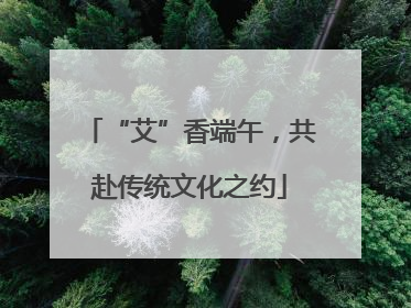 “艾”香端午，共赴传统文化之约