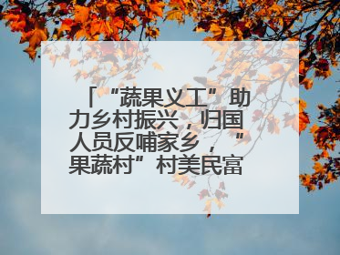 “蔬果义工”助力乡村振兴，归国人员反哺家乡，“果蔬村”村美民富香飘远近