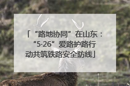 “路地协同”在山东：“5·26”爱路护路行动共筑铁路安全防线