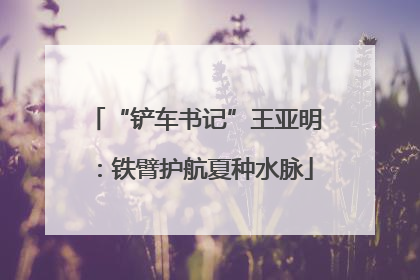 “铲车书记”王亚明：铁臂护航夏种水脉