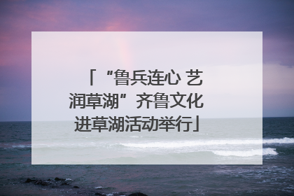 “鲁兵连心 艺润草湖”齐鲁文化进草湖活动举行