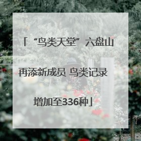 “鸟类天堂”六盘山再添新成员 鸟类记录增加至336种