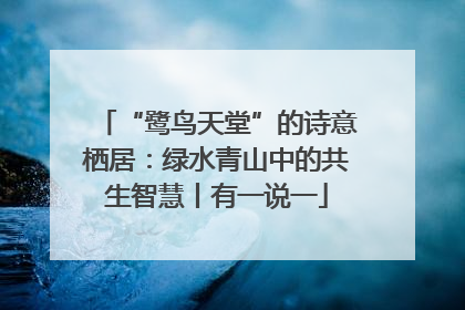 “鹭鸟天堂”的诗意栖居：绿水青山中的共生智慧丨有一说一