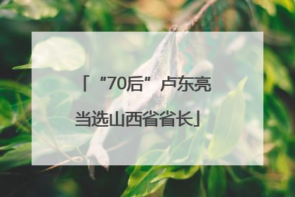 “70后”卢东亮当选山西省省长