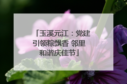 玉溪元江：党建引领粽飘香 邻里和谐庆佳节