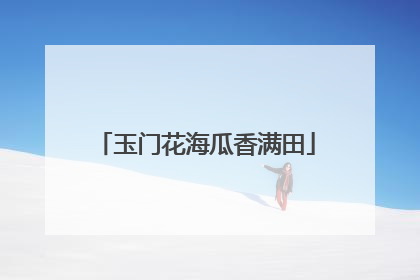 玉门花海瓜香满田