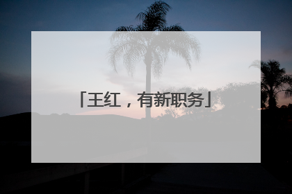 王红，有新职务