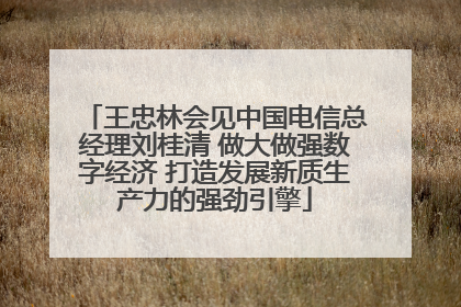 王忠林会见中国电信总经理刘桂清 做大做强数字经济 打造发展新质生产力的强劲引擎