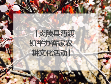 炎陵县沔渡镇举办客家农耕文化活动