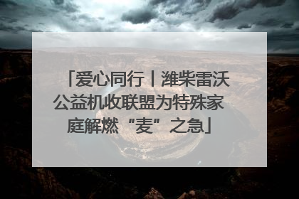 爱心同行丨潍柴雷沃公益机收联盟为特殊家庭解燃“麦”之急