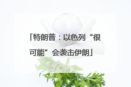 特朗普：以色列“很可能”会袭击伊朗