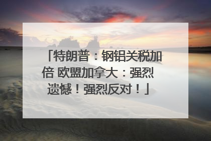 特朗普：钢铝关税加倍 欧盟加拿大：强烈遗憾！强烈反对！