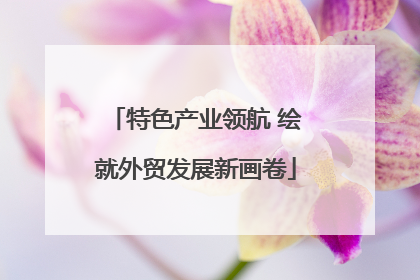 特色产业领航 绘就外贸发展新画卷