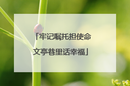 牢记嘱托担使命 文亭巷里话幸福