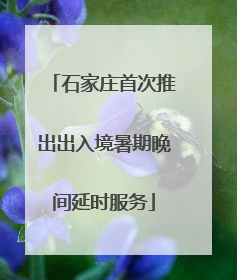 石家庄首次推出出入境暑期晚间延时服务
