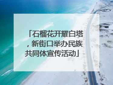 石榴花开耀白塔，新街口举办民族共同体宣传活动