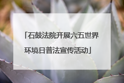 石鼓法院开展六五世界环境日普法宣传活动