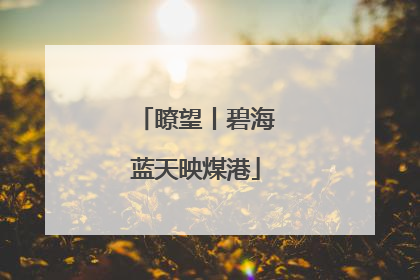 瞭望丨碧海蓝天映煤港